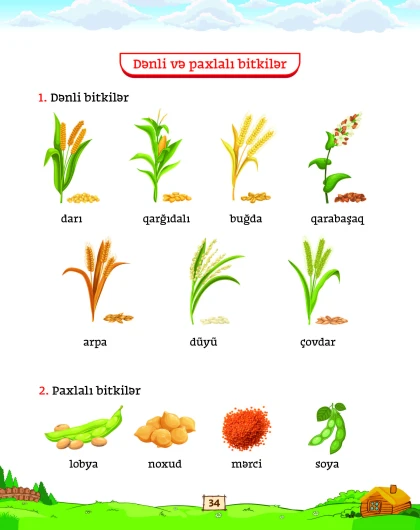 Mən Ətraf Aləm Öyrənirəm 4-5 yaş (Bağça uşaqları üçün vəsait)