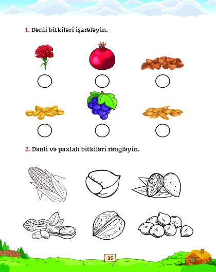 Mən Ətraf Aləm Öyrənirəm 4-5 yaş (Bağça uşaqları üçün vəsait)